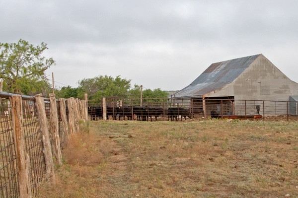 Chimney Creek Ranching