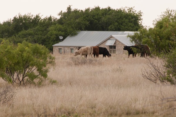 Chimney Creek Ranching