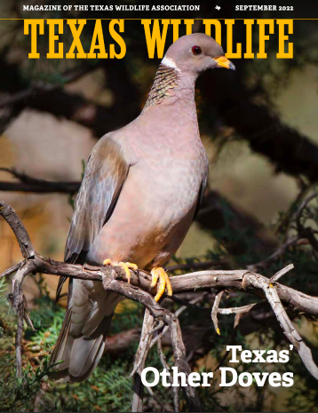 Article in Texas Wildlife